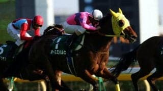 引退前にオースミハルカ最後の仔に騎乗 母の主戦だった川島信二騎手が初Vに導くか