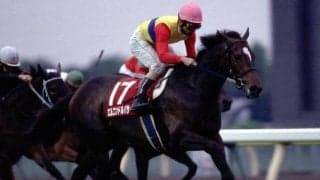 たった一度の“ダートの共同通信杯” 勝ち馬は世界へ羽ばたき今なお記憶に