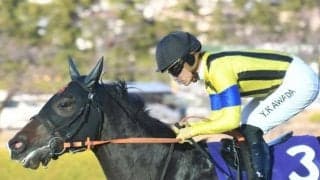 今年から多くのGIIIが馬齢重量に変更 ジャンタルマンタルへの影響とは？