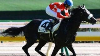 ハーツクライ産駒が好相性のクイーンC 2走連続5馬身差Vの大物候補が重賞初挑戦