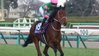 ホープフルS5着馬が共同通信杯に参戦 不完全燃焼だった前走の雪辱期す