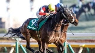 不思議な前哨戦のクイーンC 的中のヒントは桜花賞よりもオークス向きの馬を探すこと？