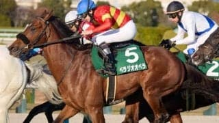 今年こそはGI制覇へ ベラジオオペラが京都記念で始動