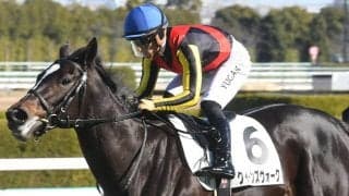 ノーザンファームがクイーンC“9連覇”なるか 良血ズラリの5頭出しで参戦