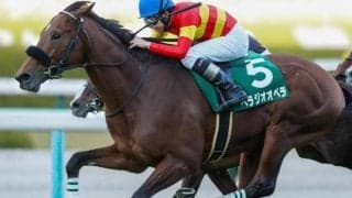 【京都記念枠順確定】ベラジオオペラは5枠5番、ルージュエヴァイユは7枠9番