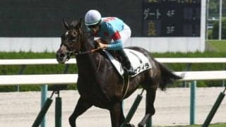 【クイーンC枠順確定】サフィラは4枠4番、クイーンズウォークは8枠13番