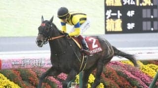 【共同通信杯枠順確定】ジャンタルマンタルは8枠9番、エコロヴァルツは6枠6番