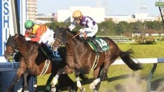 ダート重賞2勝のサンライズホープが登録抹消 今後は園田競馬に移籍へ