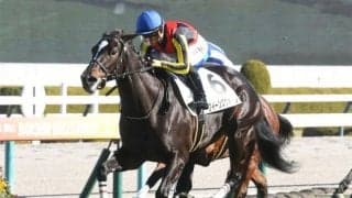 【クイーンC予想】そうそうたる勝ち馬が名を連ねる3歳牝馬限定重賞！  前走での経験が勝負の行方を左右する