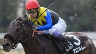 名牝ノースフライトの孫 武豊騎手を背にこぶし賞で2勝目飾るか