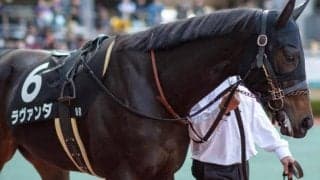 隠れた牝馬の出世レース“こぶし賞” メイショウマンボなどGIでの活躍馬がズラリ