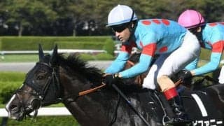 【小倉大賞典想定馬・騎手】エピファニー、ダンディズムなど20頭