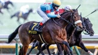 【ダイヤモンドS想定馬・騎手】サリエラ、テーオーロイヤルなど10頭