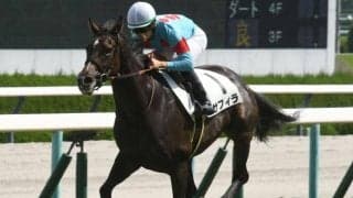 【今日の注目ポイント】東京で3歳牝馬の重賞・クイーンC