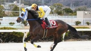 【兵庫ウインターC】タイガーインディが5馬身差圧勝…直線で突き放す