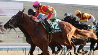 【きさらぎ賞】ピーヒュレク騎乗、ビザンチンドリームがデビュー2連勝