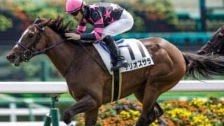 【クイーンC予想】牝馬三冠路線を占う重賞 スピードと粘り強さが問われる一戦に