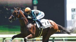 共同通信杯からクラシック戦線へと羽ばたくのは？　期待はスワーヴリチャード産駒の２頭