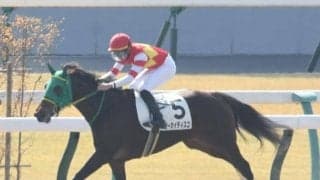 【京都4R新馬戦結果】ダノンレジェンド産駒ヨーカイディスコが逃げ切り勝ち