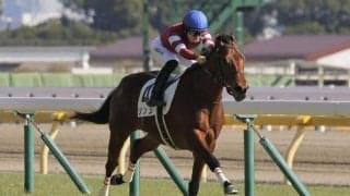 【東京7R】断然人気ソンシが快勝