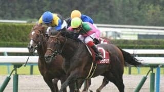 【京都記念予想】前走の大敗が影響!? GI組が優秀も明暗を分ける馬場状態