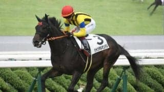 【共同通信杯前日オッズ】ジャンタルマンタルが2.8倍で1番人気