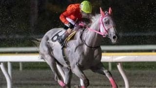 13歳馬リッカルドが引退 南関東の現役最年長馬