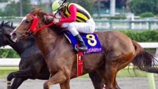 母は地方が生んだダート女王 ビスクウィザードが日曜東京4Rで初陣