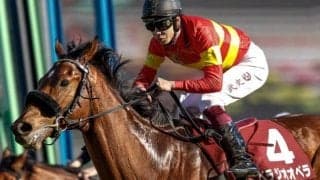 【今日の注目ポイント】東京で共同通信杯と4年ぶりに京都で京都記念