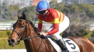 【共同通信杯予想】今年も前走新馬戦の勝利馬狙える？ 過去10年データで探るGIII共同通信杯