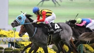 今年の京都記念は超一線級不在 荒れ馬場で浮上する伏兵２頭が高配当を演出か