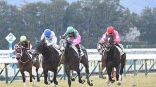 京都芝外回りは外伸び優勢 穴党はブレイヴロッカーに注目