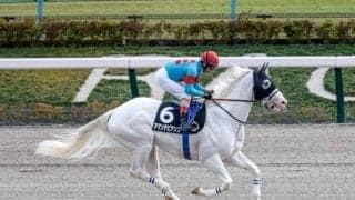 【大井・雲取賞枠順】今年からダートグレード競走に格上げ 白毛アマンテビアンコは5枠9番