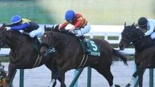 【京都記念・馬体重】ベラジオオペラは506kg(-8)、ルージュエヴァイユは478kg(+10)