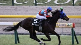 【初音S】コンクシェルが独走で3馬身差V…断然人気カーペンタリアは11着敗退