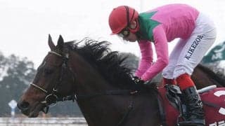 【京都記念結果】プラダリアが競り合いを制して重賞3勝目