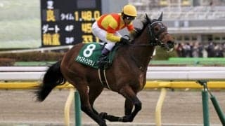 【共同通信杯】ジャスティンミラノがデビュー2連勝…ジャンタルマンタルは2着