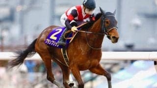 【佐賀競馬】伝統の大一番 さらなる活躍を見据える実績馬集う佐賀記念