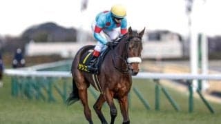 【ダイヤモンドS】サリエラ、テーオーロイヤルらが登録