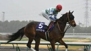 【京都牝馬S】メイケイエール、ナムラクレアらが登録