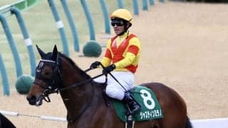 【共同通信杯】戸崎「追ってからも味がある」ジャスティンミラノがデビュー2連勝