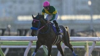 ダートGIフェブラリーSなどJRAで4重賞/今週の競馬界の見どころ