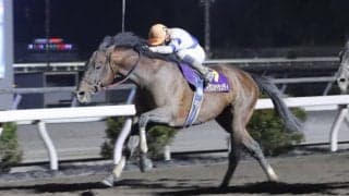 【高知・だるま夕日賞】モダスオペランディがハナ差V…断然人気ロードブレスを凌ぐ