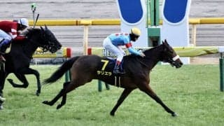 【ダイヤモンドS登録馬】サリエラなど10頭