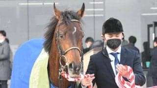 【京都記念】売上は51億7124万9600円で昨年から約27億円の大幅減