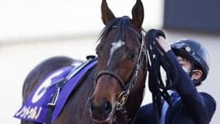 佐賀記念に実績馬集結 秋のJBCに向けて見逃せない一戦