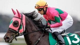 【先週のJRA抹消馬】ターコイズSを連覇したミスニューヨーク、ダート重賞2勝のサンライズホープなど