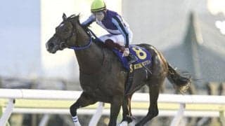 【AI予想・フェブラリーS】新年一発目のGIは前走の人気やレース格、着順に要注意!? 本命候補は東京ダート1600mで好走実績のある3頭