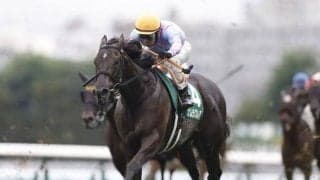 京都牝馬S想定騎手19頭 ナムラクレアは浜中俊騎手、ソーダズリングは武豊騎手