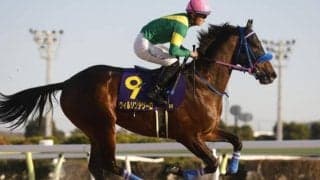 フェブラリーS想定騎手27頭 ウィルソンテソーロは松山弘平騎手、ドゥラエレーデはB.ムルザバエフ騎手